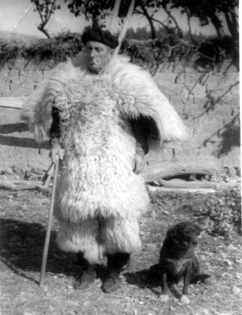 Pastor con perro, RENEDO DE VALDERADUEY (León)